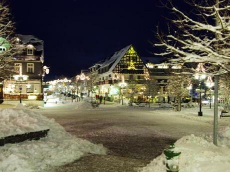 Stadtwohnung Schneeflocke วินเทอร์แบร์ก ภายนอก รูปภาพ